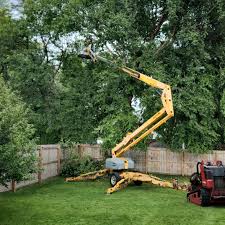 Seasonal Cleanup (Spring/Fall) in Benld, IL